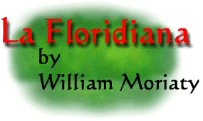 La Floridiana by Will Moriaty