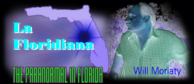 La Floridiana by Will Moriaty